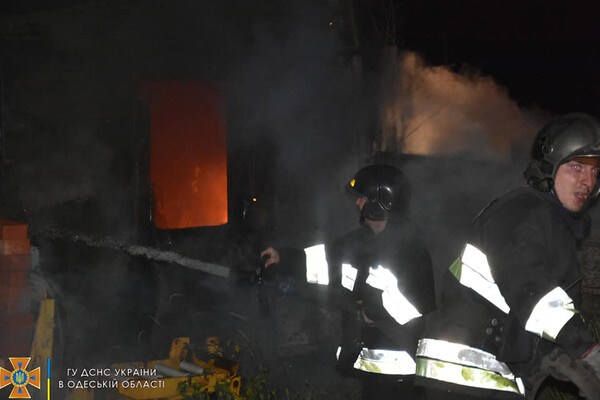 Большой пожар в Нерубайском и помощь людям: как прошли сутки у одесских спасателей фото 3