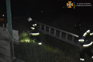 Большой пожар в Нерубайском и помощь людям: как прошли сутки у одесских спасателей фото 6