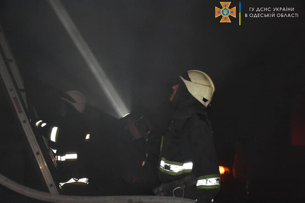 Большой пожар в Нерубайском и помощь людям: как прошли сутки у одесских спасателей фото 7