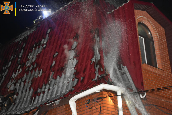 Большой пожар в Нерубайском и помощь людям: как прошли сутки у одесских спасателей фото 9