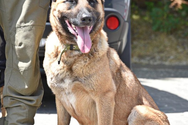 В Одессе снова заработают полицейские станции  фото 3