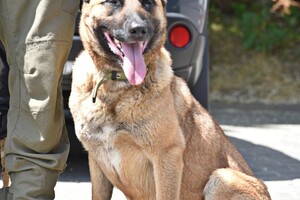 В Одессе снова заработают полицейские станции  фото 3