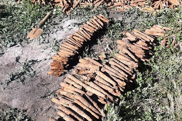 Утопленник, упавшие деревья и снаряды времен Второй Мировой: как прошли сутки у спасателей в Одессе и области фото 2