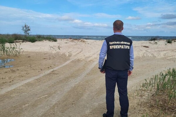 В Одесской области экс-глава РГА передал земли у моря своей маме  фото