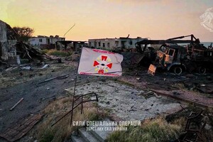 Спецоперация "Змеиный": новые подробности и фото "зачистки" острова фото 1