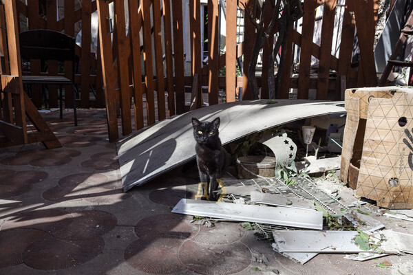 Последствия ракетного удара по Одесской области: повреждены школа, Дом культуры и дом многодетной семьи фото 22