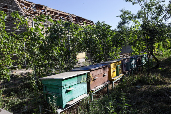 Последствия ракетного удара по Одесской области: повреждены школа, Дом культуры и дом многодетной семьи фото 36