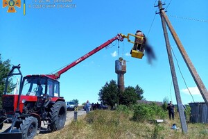 В Одесской области во время работы на электроопоре погиб мужчина фото 1