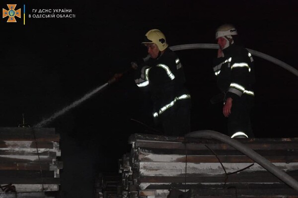 Подробности пожара в порту и помощь полиции: как прошли сутки у одесских спасателей  фото 1