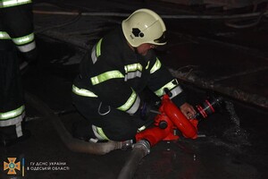 Подробности пожара в порту и помощь полиции: как прошли сутки у одесских спасателей  фото 4