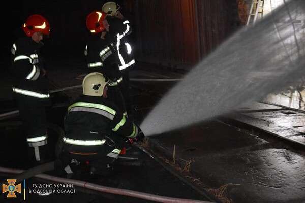 Подробности пожара в порту и помощь полиции: как прошли сутки у одесских спасателей  фото 6