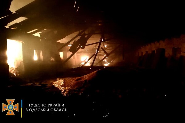 Cпасли 30 тонн зерна, тушили 40 пожаров: как прошли сутки у одесских спасателей фото