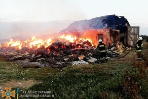 Врятували 30 тонн зерна, гасили 40 пожеж: як минула доба у одеських рятувальників фото 2