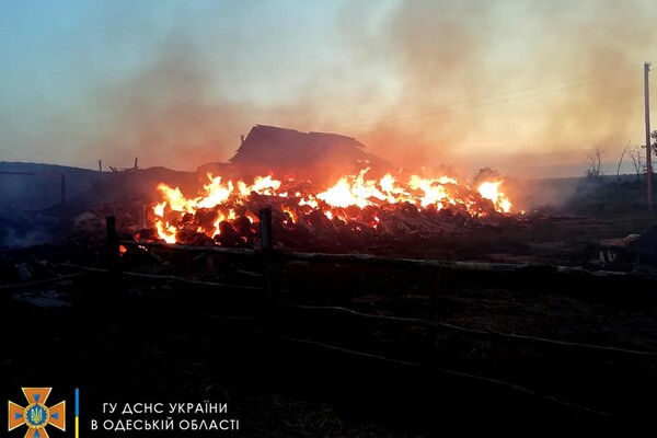 Cпасли 30 тонн зерна, тушили 40 пожаров: как прошли сутки у одесских спасателей фото 3