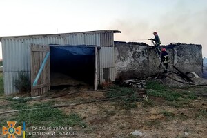 Врятували 30 тонн зерна, гасили 40 пожеж: як минула доба у одеських рятувальників фото 5