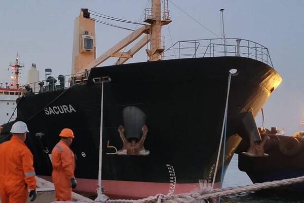 Еще два судна с украинским зерном вышли из портов Одесской области фото 3
