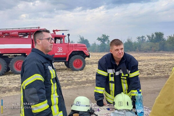 В Одесской области загорелись почти 30 гектар леса фото