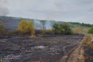 В Одесской области загорелись почти 30 гектар леса фото 1