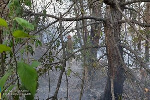 На Одещині спалахнули майже 30 гектар лісу фото 2