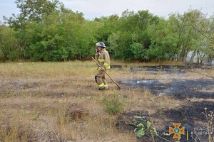 В Одесской области загорелись почти 30 гектар леса фото 5