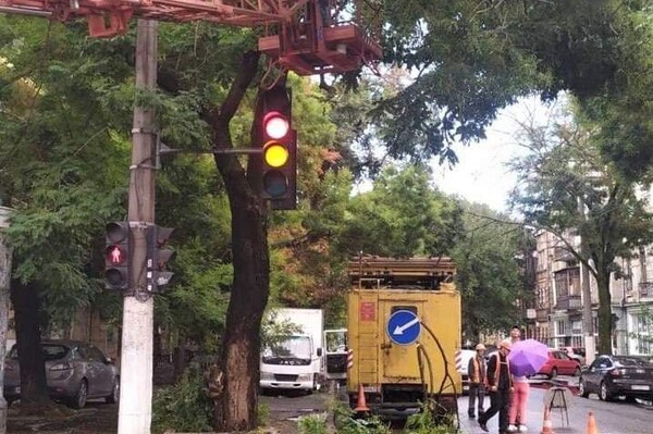 Наслідки негоди в Одесі: у місті впали 10 дерев і 18 гілок (оновлено) фото 3