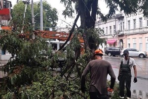 Наслідки негоди в Одесі: у місті впали 10 дерев і 18 гілок (оновлено) фото 4
