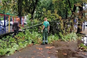 Наслідки негоди в Одесі: у місті впали 10 дерев і 18 гілок (оновлено) фото 7