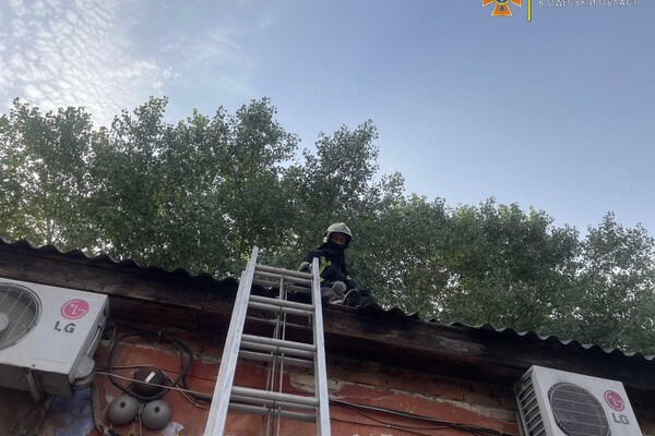 Горели сауна в десятиэтажке и здание открытым пламенем: как прошли сутки у одесских спасателей фото 15