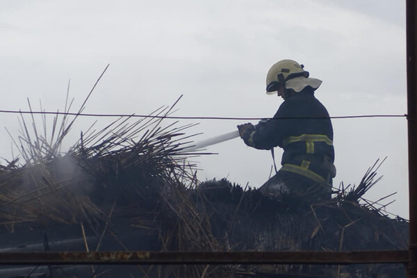 Тушили пожары в жилых домах и в цеху: как прошли сутки у одесских спасателей фото