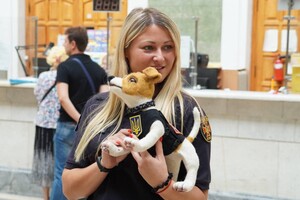 В Одессе погасили благотворительную марку с псом-пиротехником Патроном фото 2