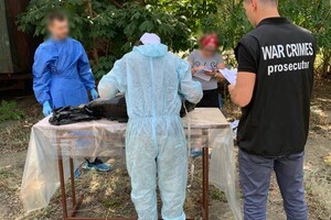 Из-за уничтожения дельфинов в Черном море открыли уголовное производство  фото 1