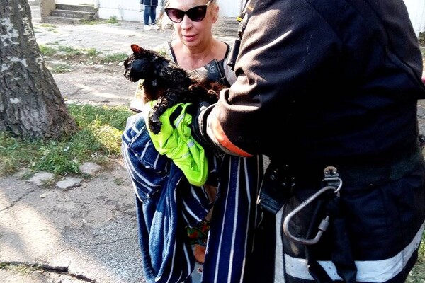 Пожары в ресторане и жилом доме: как прошли сутки у спасателей в Одессе фото 12