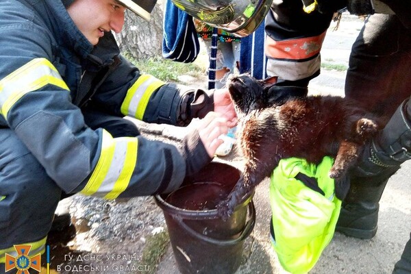 Пожары в ресторане и жилом доме: как прошли сутки у спасателей в Одессе фото 25