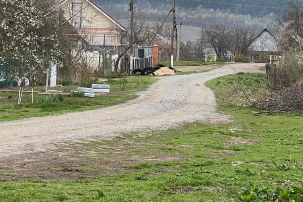 Одесский чиновник устроил фиктивный ремонт дорог за три миллиона гривен фото 2