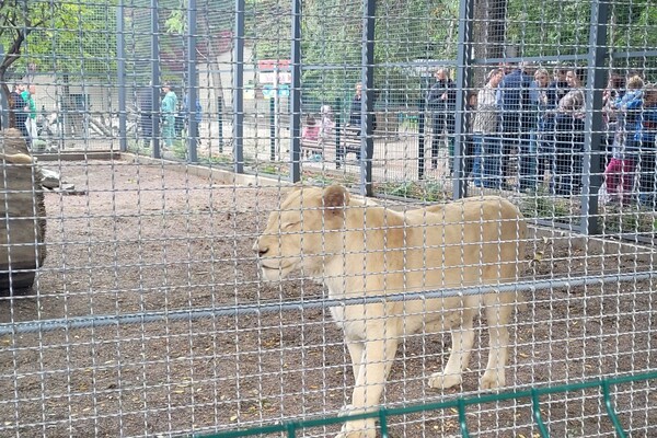 Одесский зоопарк отмечает столетие  фото 2