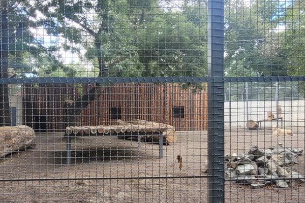 Одесский зоопарк отмечает столетие  фото 5