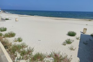 Як в Одесі пляжі поросли травою (фото) фото
