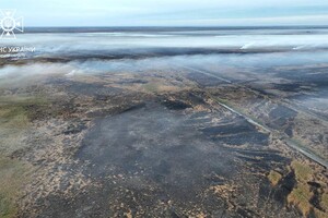 В Одесской области снова горит заповедник (обновлено) фото