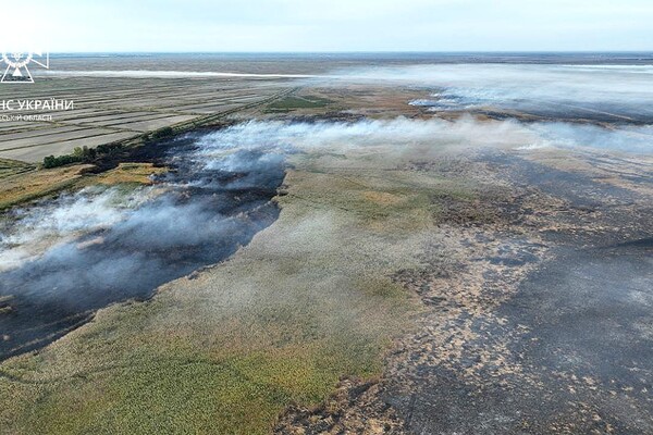 В Одесской области снова горит заповедник (обновлено) фото 1