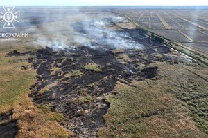 В Одесской области снова горит заповедник (обновлено) фото 2