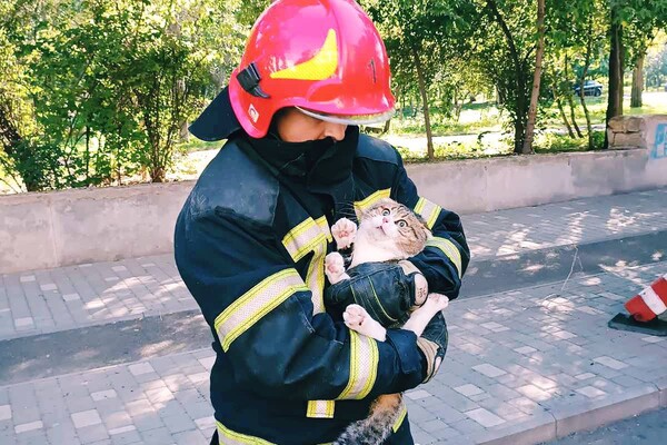 Спасли кота и проводили аэроразведку: как прошли сутки у одесских спасателей фото 6