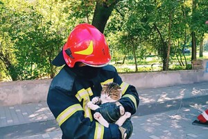 Спасли кота и проводили аэроразведку: как прошли сутки у одесских спасателей фото 8