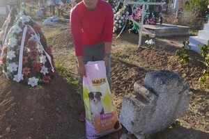 Біля могили загиблого одеського зоозахисника знайшли 10 цуценят фото 3