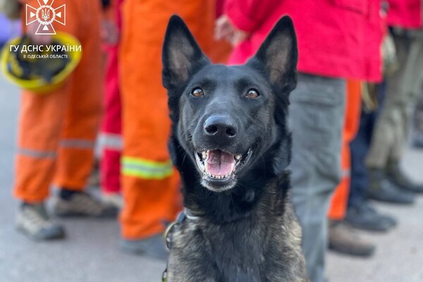 В Одесской области готовят добровольное формирование гражданской защиты фото 4
