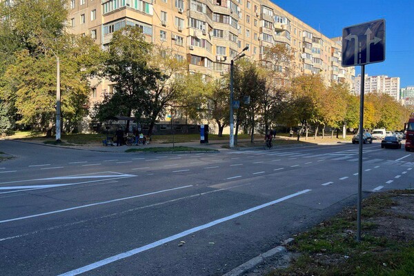 Велодорожки и разметки: какие новшества появились на дорогах Одессы фото 7