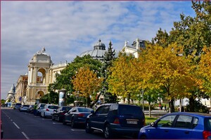 Золотий жовтень в Одесі: дивись, як це красиво (фото) фото 3