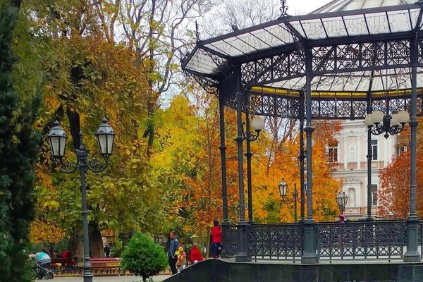 Золотий жовтень в Одесі: дивись, як це красиво (фото) фото 6