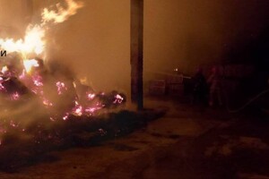 Много пожаров и помощь населению: как прошли сутки у одесских спасателей фото