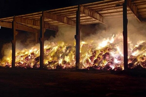 Много пожаров и помощь населению: как прошли сутки у одесских спасателей фото 3