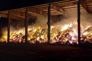 Много пожаров и помощь населению: как прошли сутки у одесских спасателей фото 3